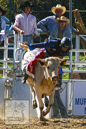 CoomaRodeo2007-117