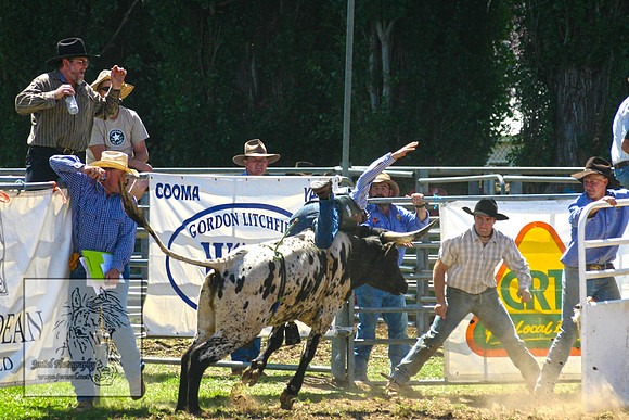 CoomaRodeo2007-101