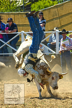 CoomaRodeo2007-112