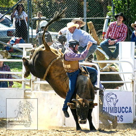 CoomaRodeo2007-132