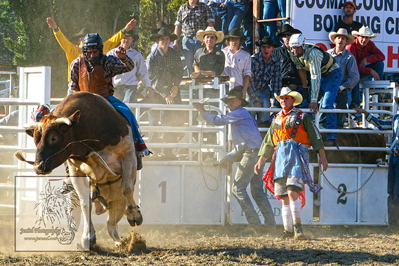 CoomaRodeo2007-221