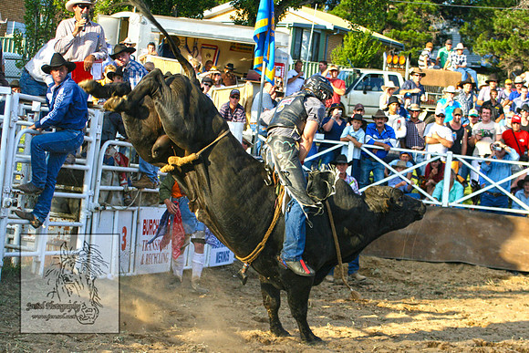CoomaRodeo2007-250