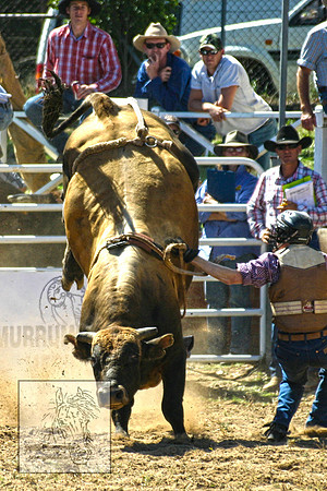 CoomaRodeo2007-133