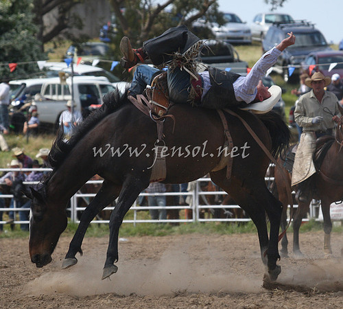 BungendoreRodeo2012_271