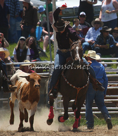 BungendoreRodeo2012_156