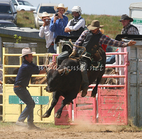 BungendoreRodeo2012_242