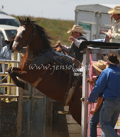 BungendoreRodeo2012_221