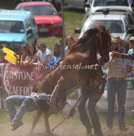 BungendoreRodeo2012_170