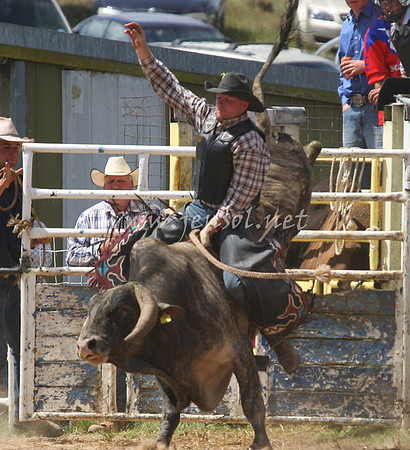 BungendoreRodeo2012_245