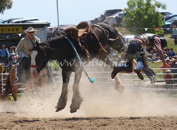 BungendoreRodeo2012_111