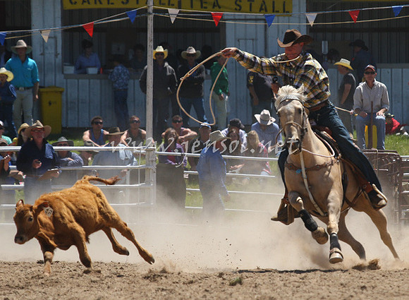BungendoreRodeo2012_099