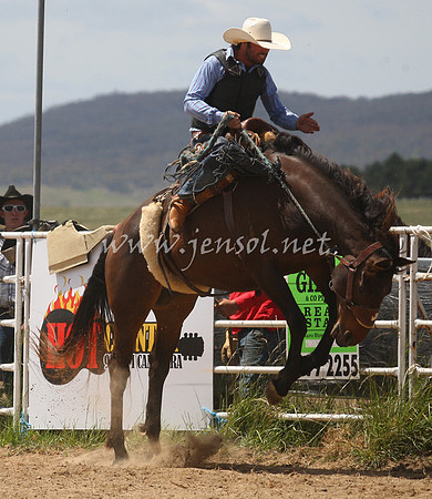 BungendoreRodeo2012_199