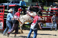 CoomaSteerClinic_0049