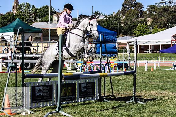Fri_Showjumping 391
