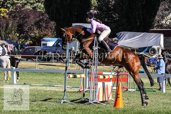 Fri_Showjumping 360