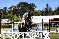 Fri_Showjumping 151