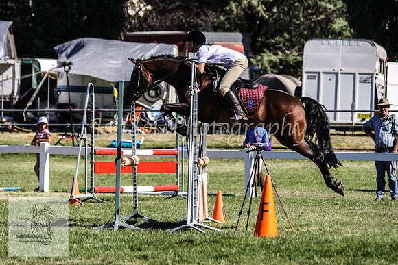 Fri_Showjumping 311