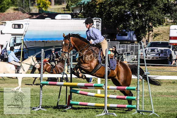 Fri_Showjumping 407