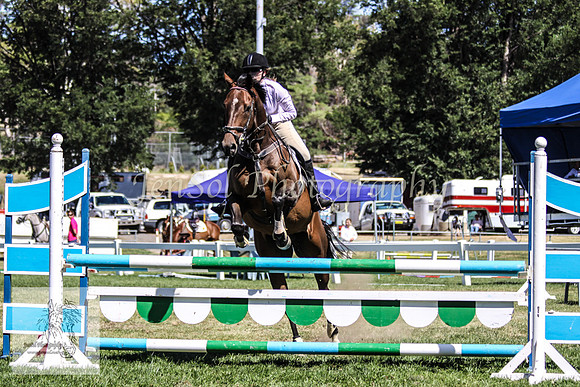 Fri_Showjumping 141