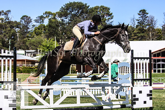 Fri_Showjumping 221