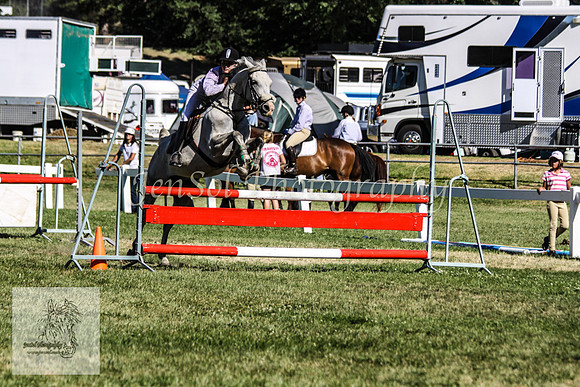 Fri_Showjumping 329