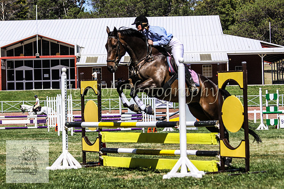 Fri_Showjumping 106