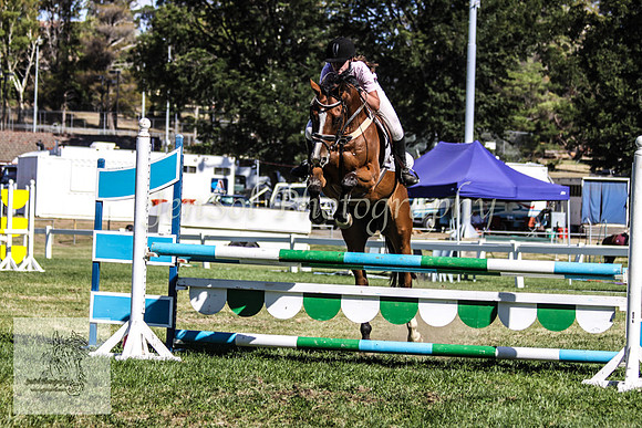 Fri_Showjumping 308