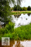WaterOct22_0064