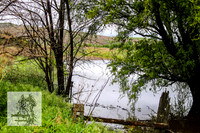 WaterOct22_0033