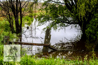 WaterOct22_0029