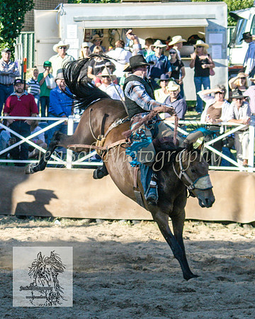 CoomaRodeo2008-319