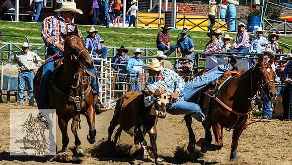 CoomaRodeo2008-204