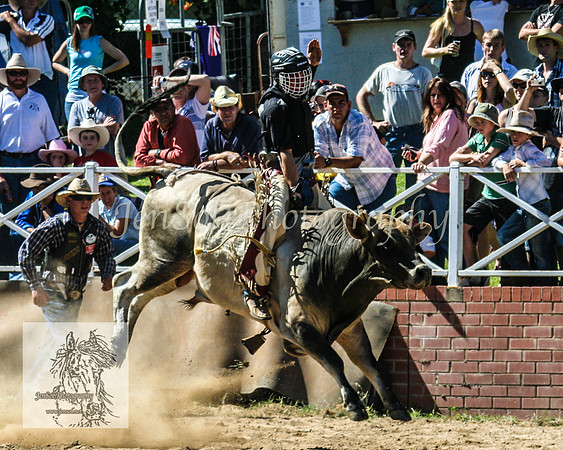 CoomaRodeo2008-188