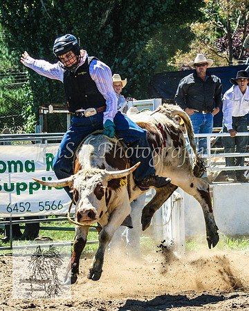 CoomaRodeo2008-135