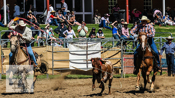 CoomaRodeo2008-158