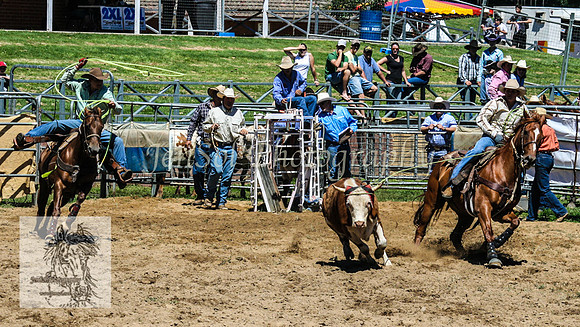 CoomaRodeo2008-049