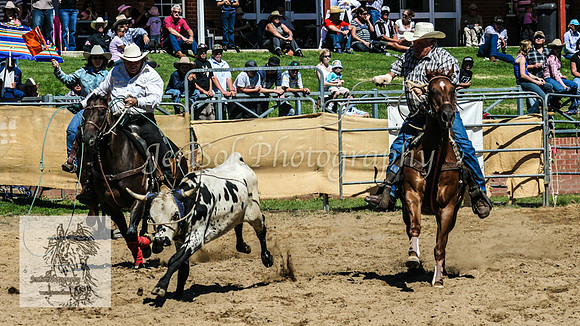 CoomaRodeo2008-156