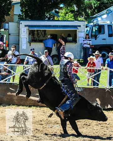 CoomaRodeo2008-138