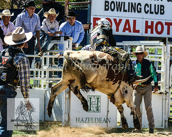 CoomaRodeo2008-144