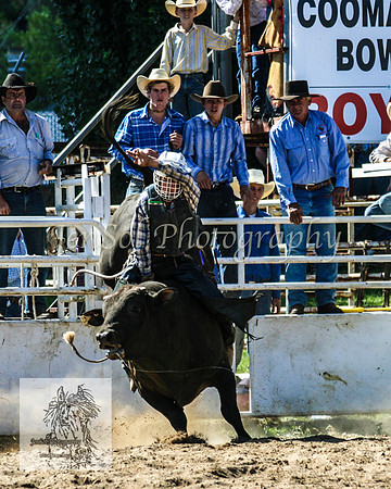 CoomaRodeo2008-201