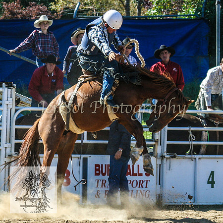 CoomaRodeo2008-215