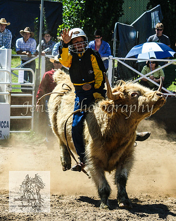 CoomaRodeo2008-140