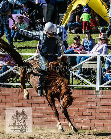 CoomaRodeo2008-217