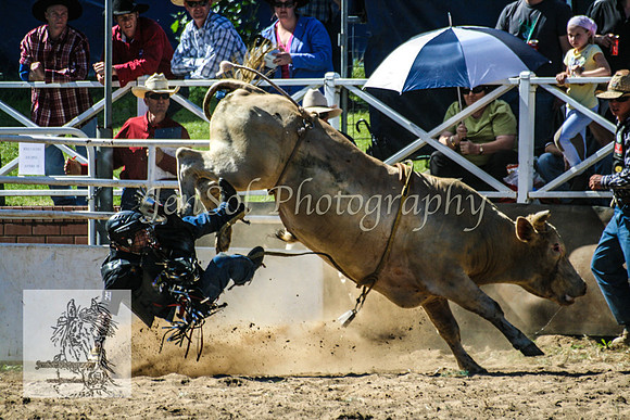 CoomaRodeo2008-192