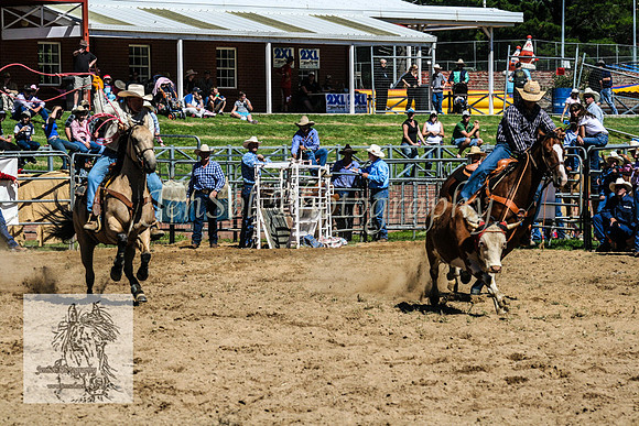 CoomaRodeo2008-026