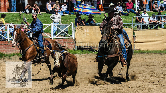 CoomaRodeo2008-159