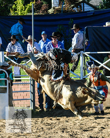 CoomaRodeo2008-262