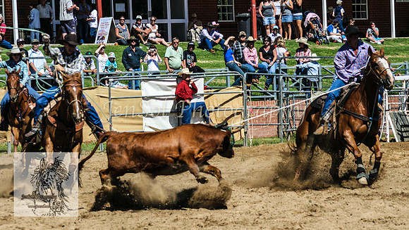 CoomaRodeo2008-161