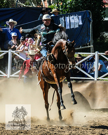 CoomaRodeo2008-224