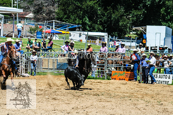 CoomaRodeo2008-039